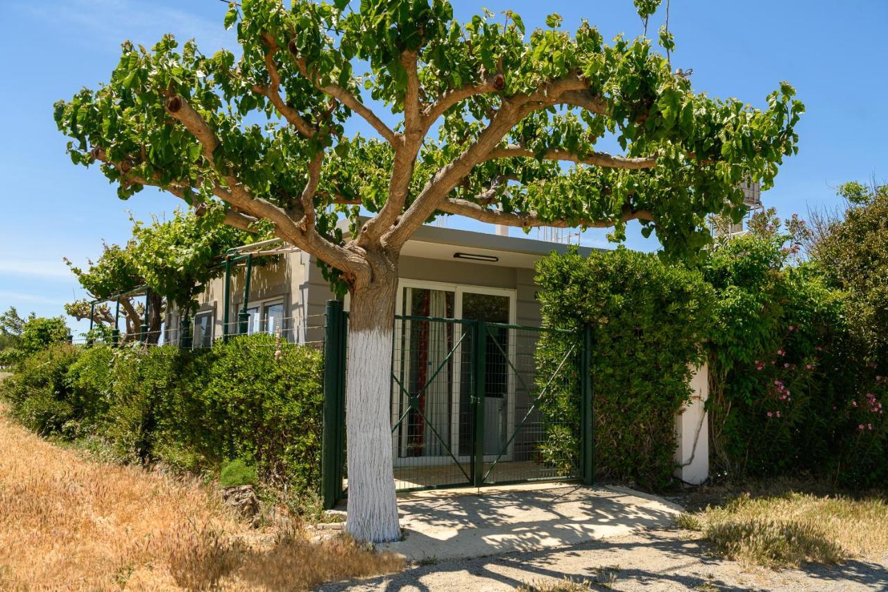 Villa Petrakis Afrathias Garden House à Kalamaki  Extérieur photo